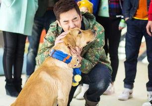 保留地之犬 第一季,探寻野性与人性的边界