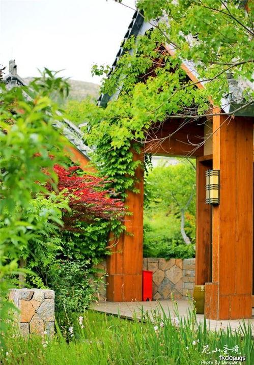 尼山奇,探寻千年文化瑰宝的神秘魅力